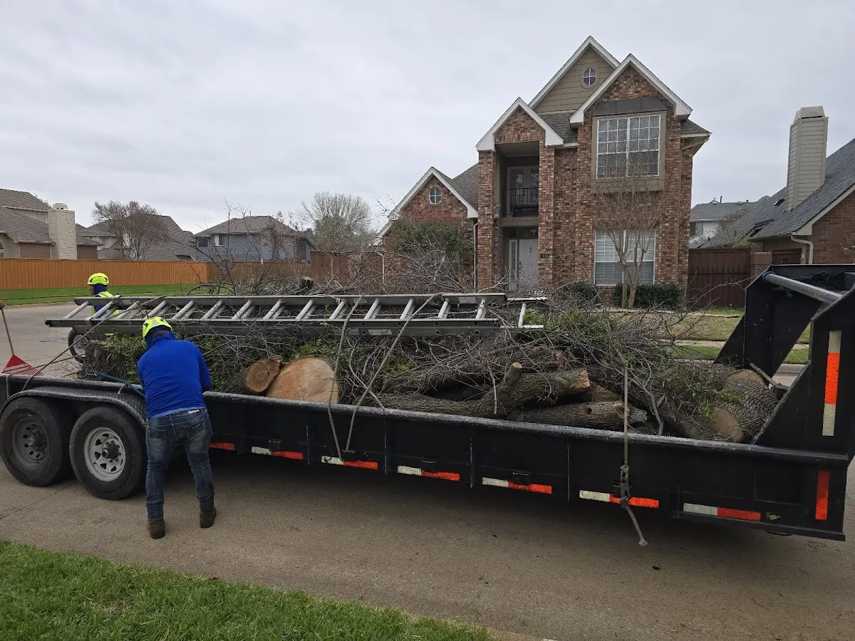 Expert Deadwooding with proper safety equipment in Sioux City